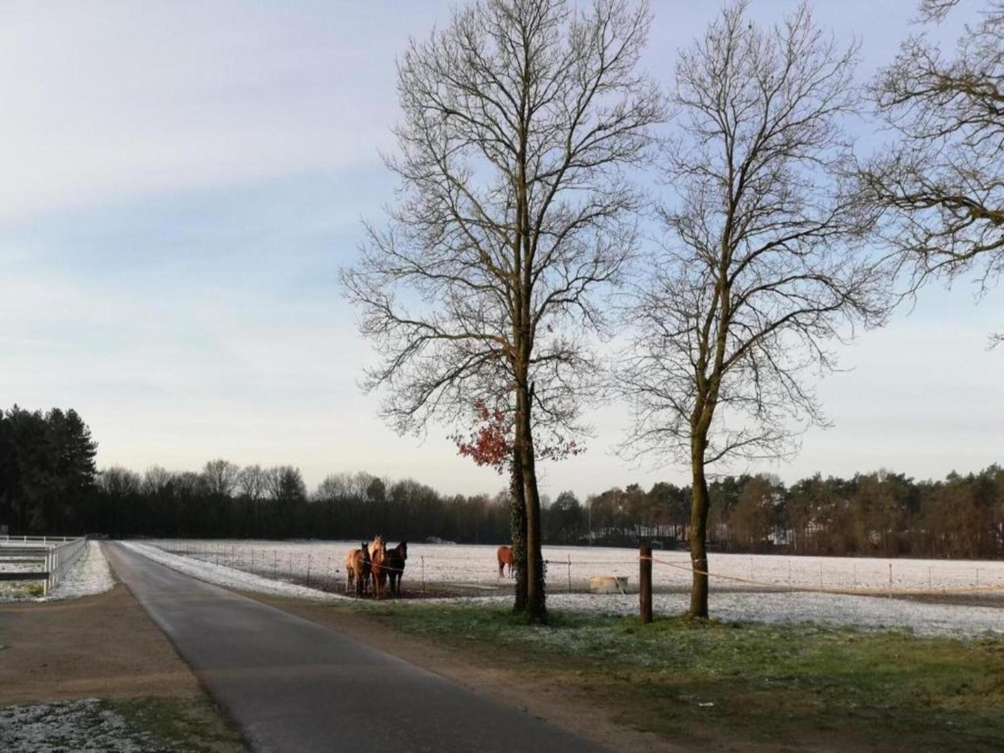 Vakantiehuis Serene In Peer